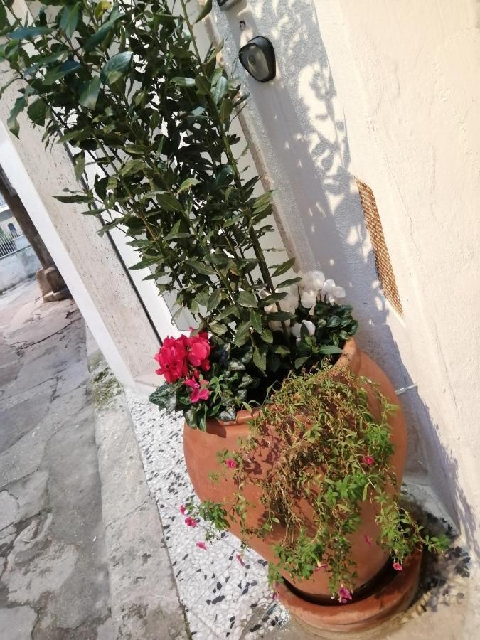 Apartamento Relax Santa Cecilia Gravina in Puglia Exterior foto